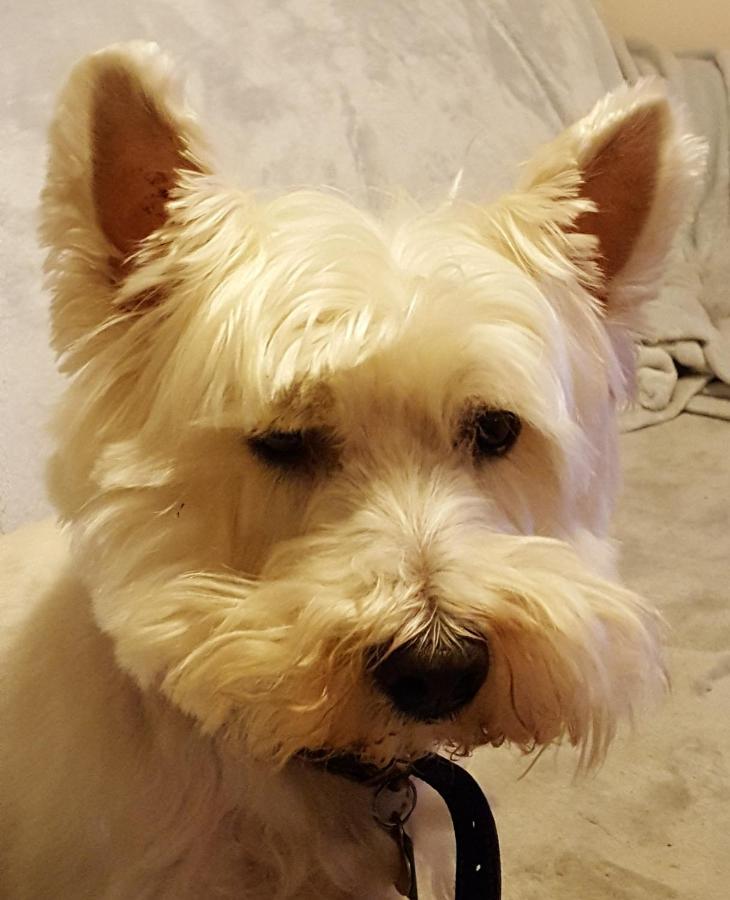 Tanleys B&B Grantown-on-Spey 외부 사진