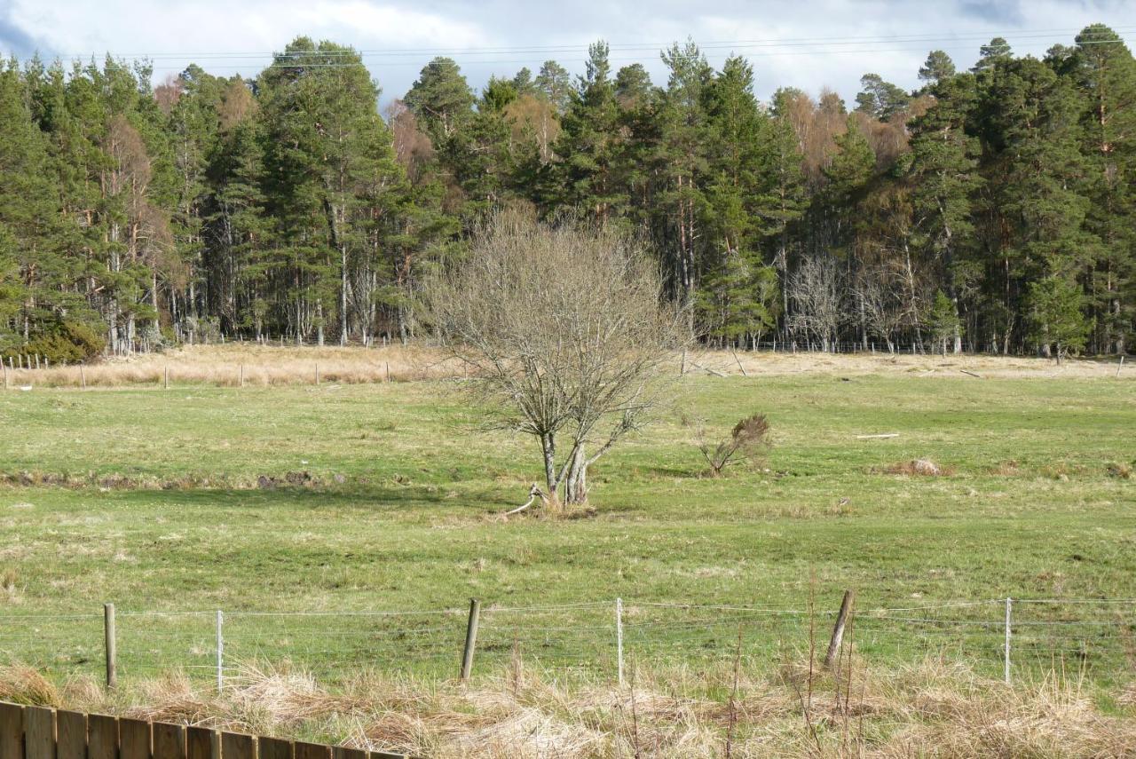 Tanleys B&B Grantown-on-Spey 외부 사진